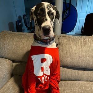 Meet your Posher, Anne